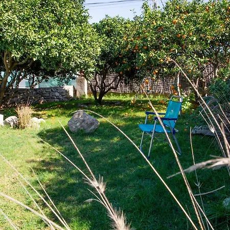 Casa de Férias Con Piscina En Conil De La Frontera - Casa Oeste *