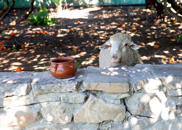 Con Piscina En Conil De La Frontera - Casa Oeste Feriehus