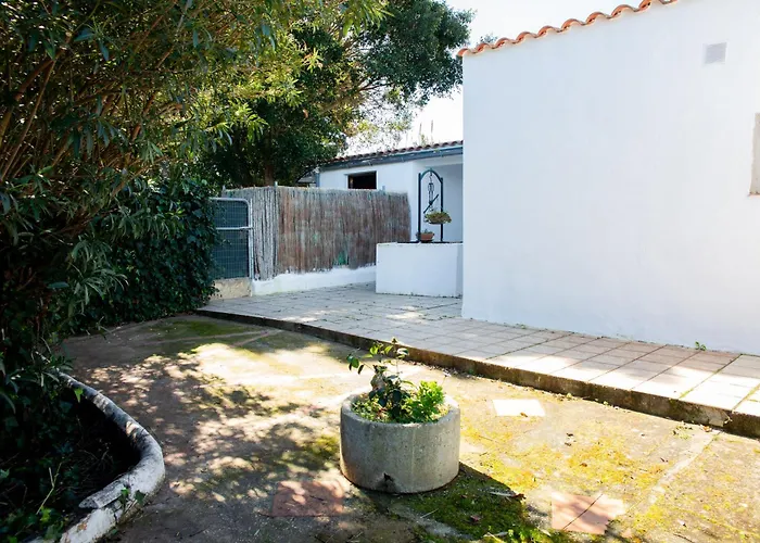 Feriehus Con Piscina En Conil De La Frontera - Casa Oeste Cádiz